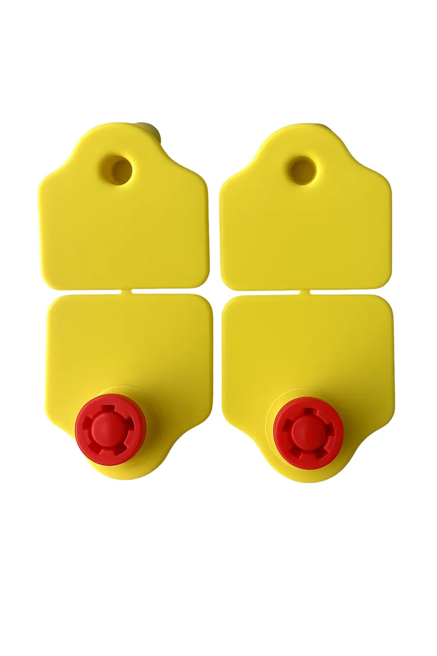 Two pairs of small yellow ear tags with red male buttons, unprinted